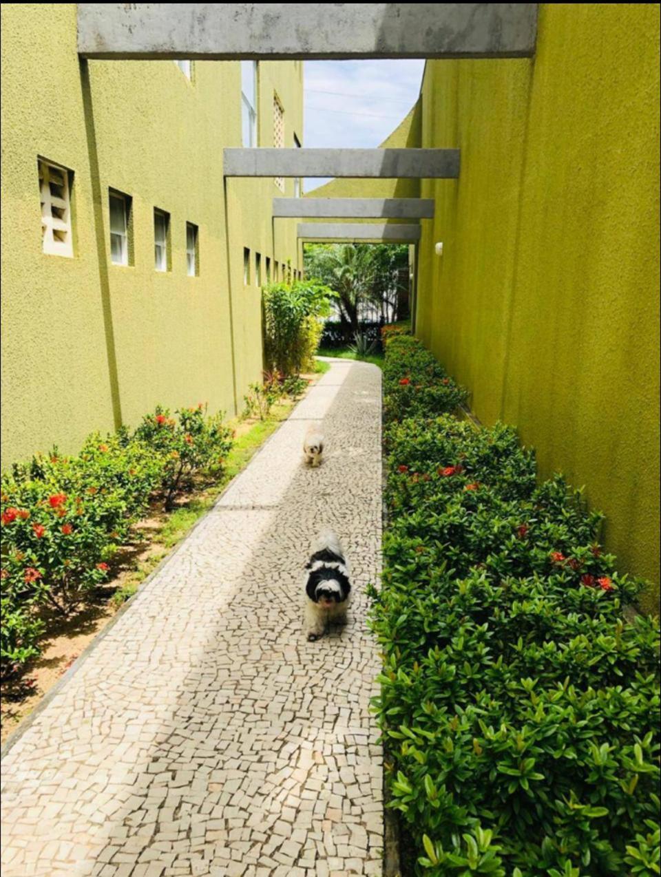 Iracema Fortaleza (Ceara)
