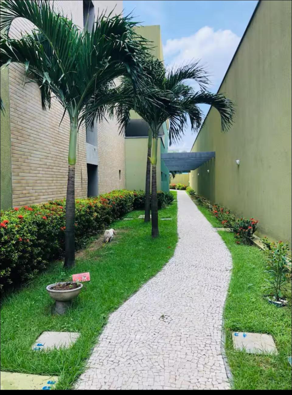 Apartment Iracema